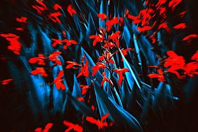 《艾尔登法环》DLC“黄金树之影”或将公布上市日期